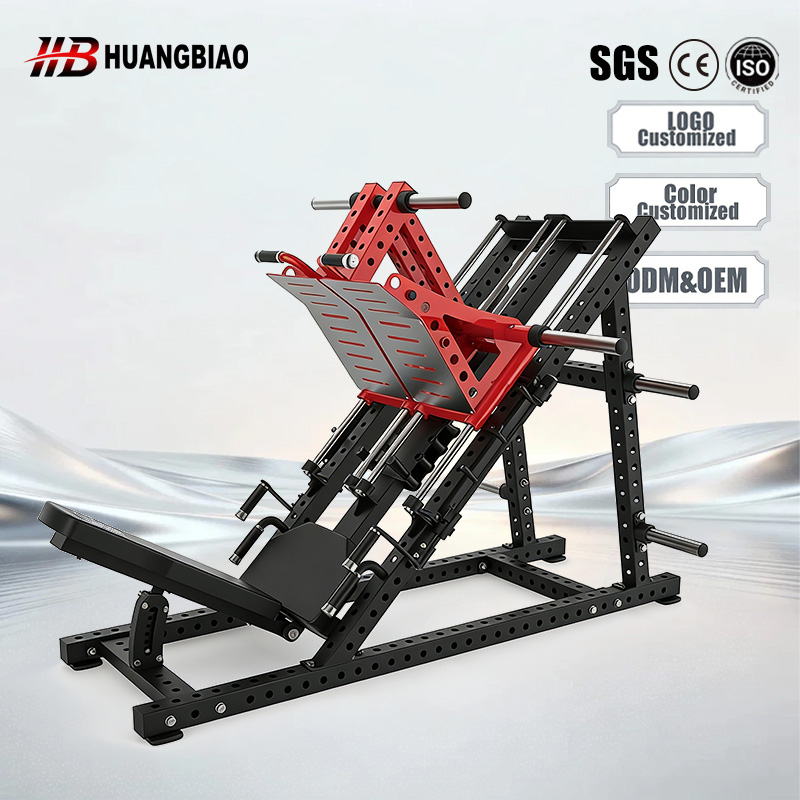 Beinstreck- und sitzende Beinp – Home Gym With Leg Press Bewertung und Preis